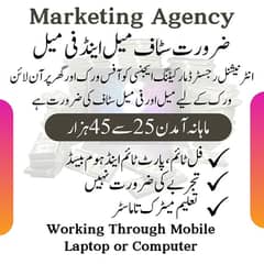 Work From Home and Earn 45000 monthly 0