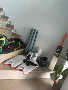 Hard ball cricket kit  price 11000 including  bat+ bag