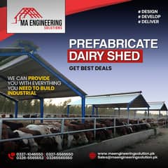 prefabricated buildings / steel structure Industrial Sheds dairy sheds