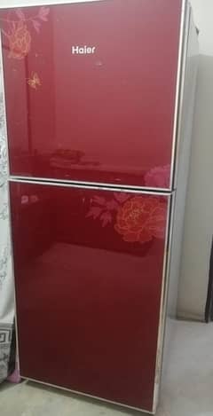 haier glass door