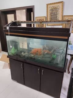 fish aquarium / aquarium / Fish tank / fish aquarium for sale