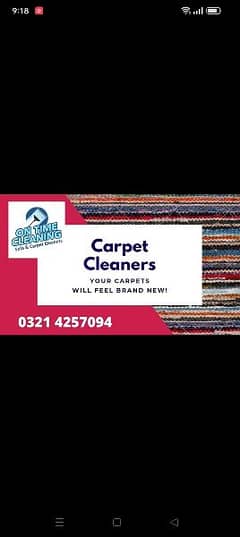 professional sofa carpet cleaners