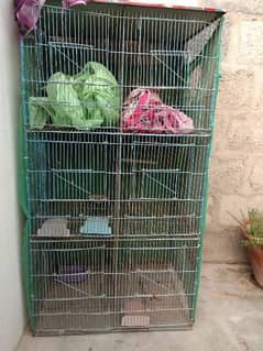 Parrots Cage 6 portion