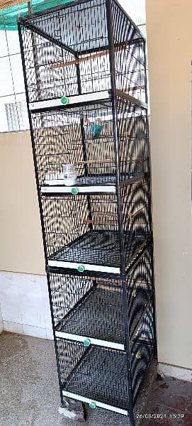 Cage for love birds 2