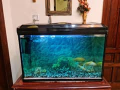 Aquarium with 4 Fishes 20x30inch 0