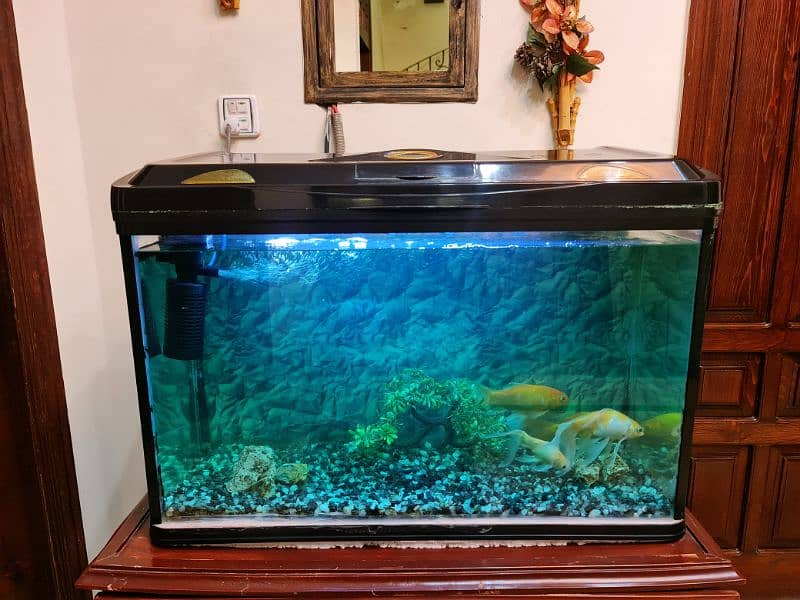 Aquarium with 4 Fishes 20x30inch 0