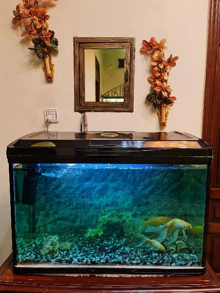 Aquarium with 4 Fishes 20x30inch 1