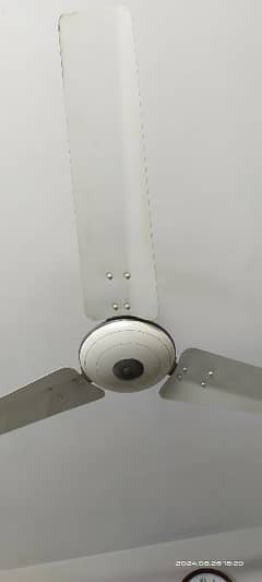 i want to sell my ceiling fans in very good condition