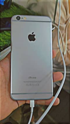 iphone 6plus official Pta approved