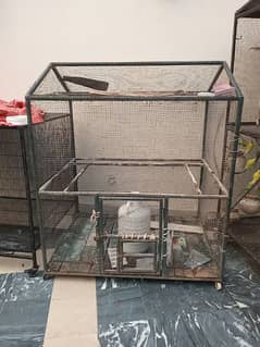 parrots cage