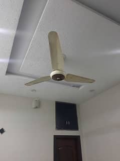 fan for sale