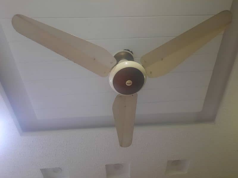 fan for sale 2