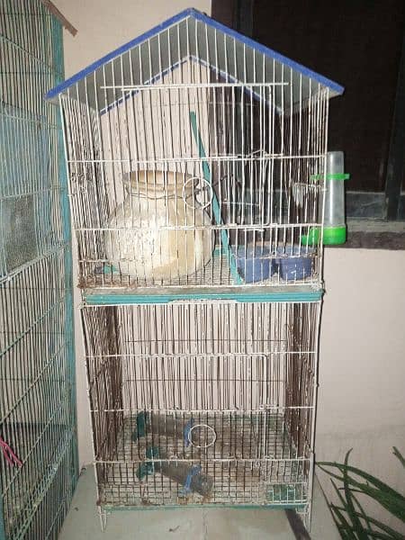 cage good condition 1