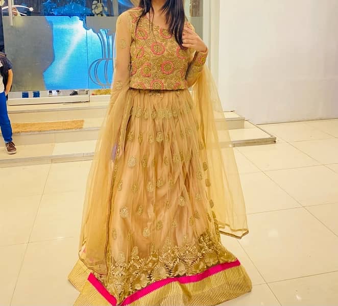 Lehenga choli 2