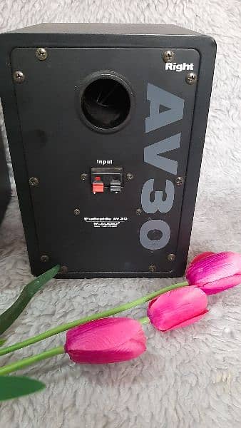 M Audio AV-30 Studio Monitors 1