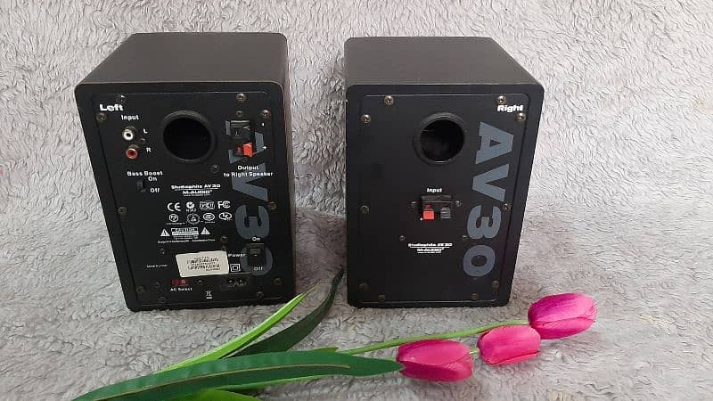 M Audio AV-30 Studio Monitors 3