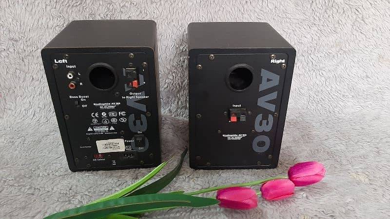 M Audio AV-30 Studio Monitors 4