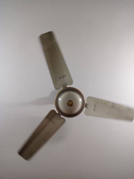 Royal mini fan 0