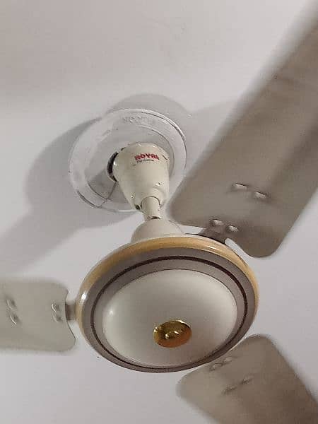 Royal mini fan 1