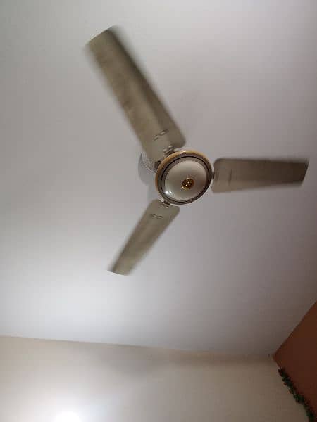 Royal mini fan 2