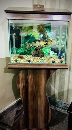 Fish Acquarium with fishes or all accessories. .