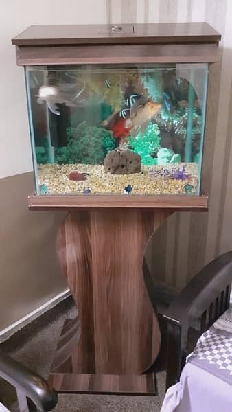 Fish Acquarium with fishes or all accessories. . 12