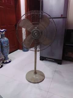 Fan