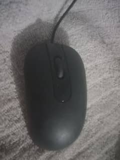 Mouse