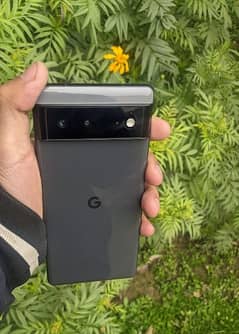 google pixel 6