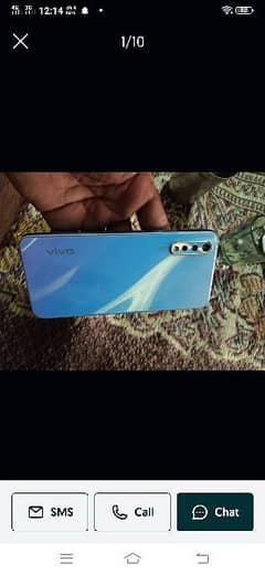 vivo