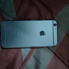 iPhone 6