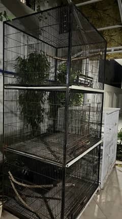 Big birds cage for sale