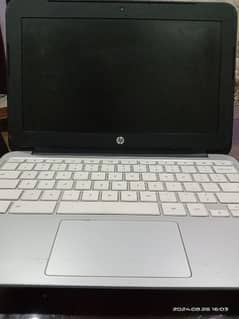 HP