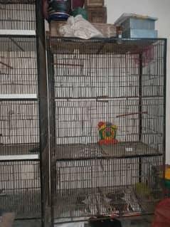 parrot cage for sale