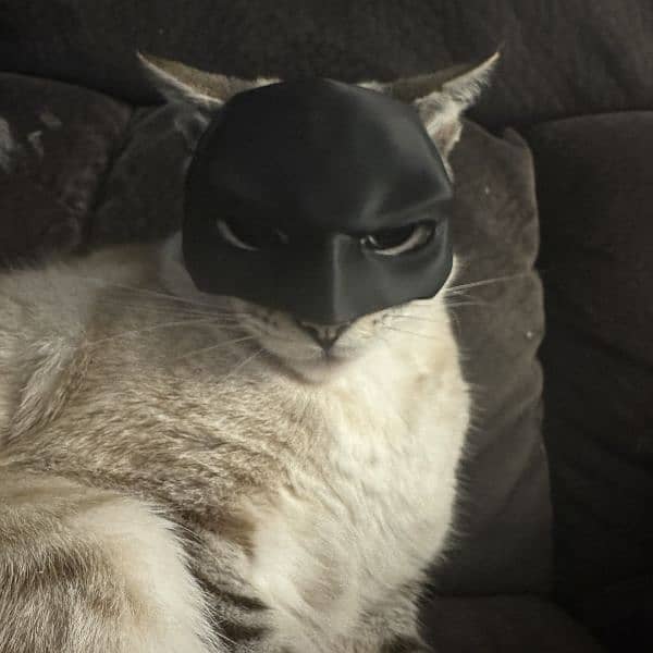 Cat Batman Mask 1