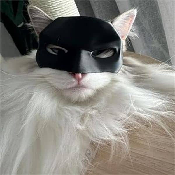 Cat Batman Mask 2