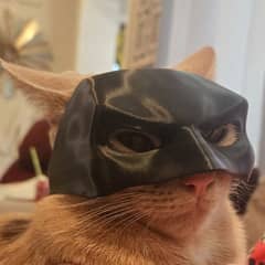 Cat Batman Mask