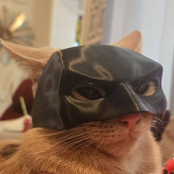 Cat Batman Mask 0