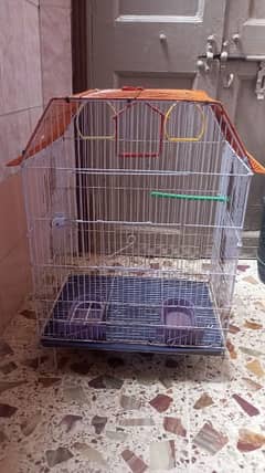 Big Size Cage 03142384581