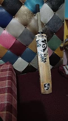 SG Kashmir Willow hard ball bat (Fully Knocked) 2024 edition