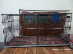 Birds cages for sale