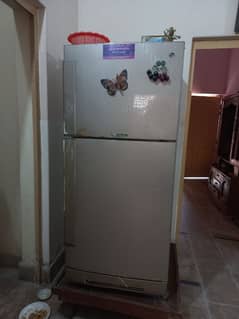 Pel Desire Infinite Refrigerator 0