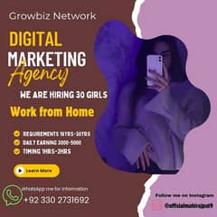 Digital marketing and Online work