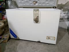 haire deep freezer single door