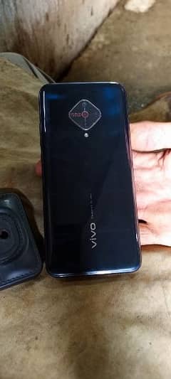 vivo