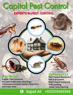 Mosquito/Cockroach/Termite Fumigation/Dengue/pest control Spray