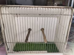 PVC Birds Show Box