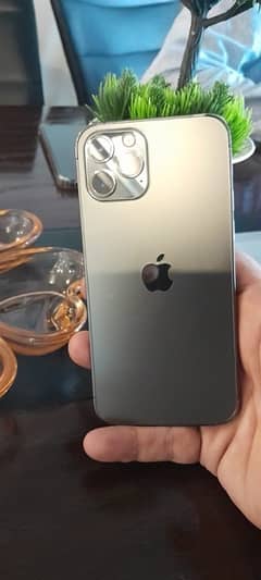 iphone 12 pro PTA approved