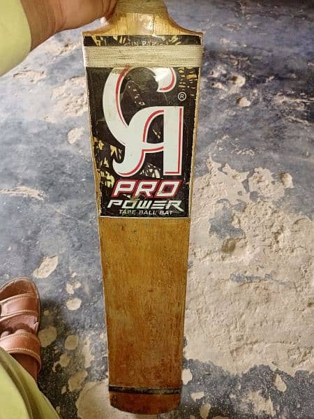 coconut cricket bat 2