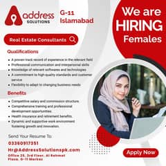 Sales Executive